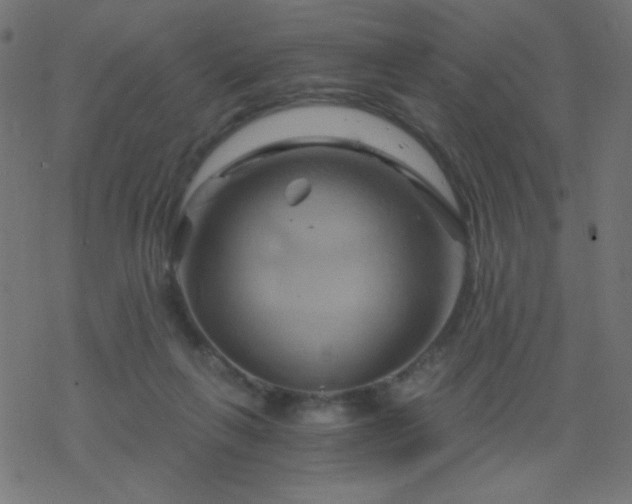 X0000068860263200605121924