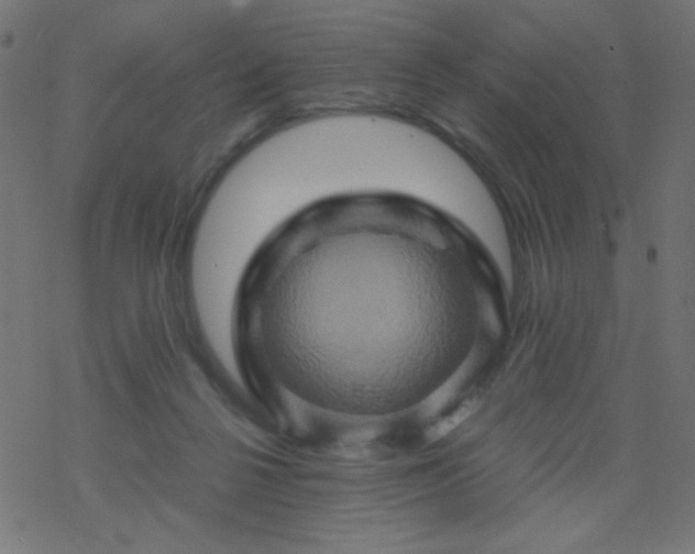 X0000068860264200605121924