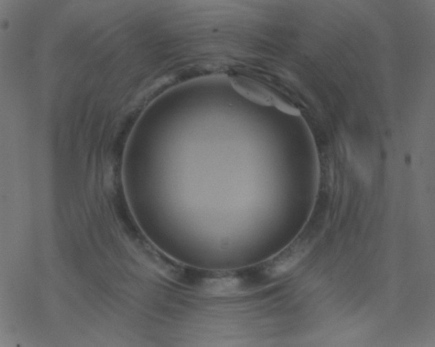 X0000068860266200605121924