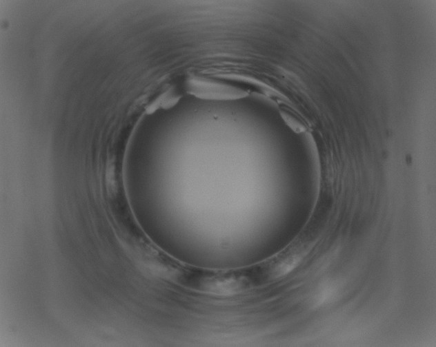 X0000068860267200605121924