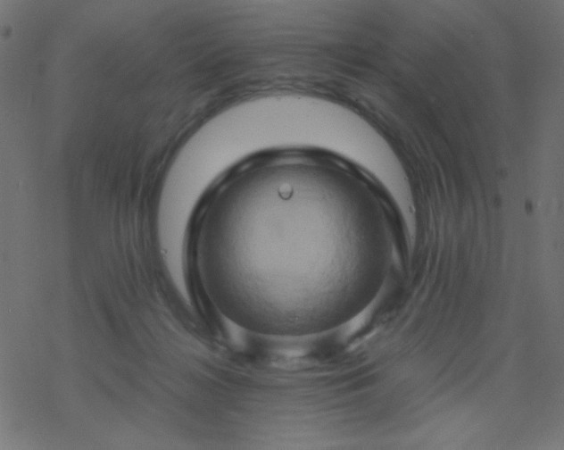 X0000068860268200605121924