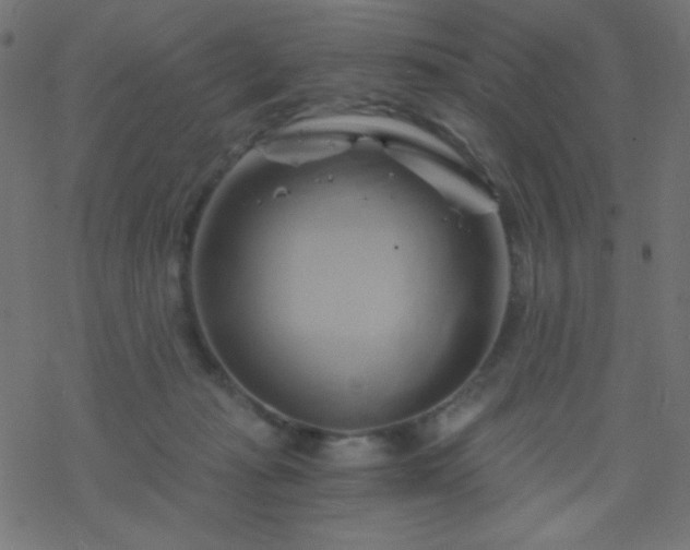 X0000068860269200605121925