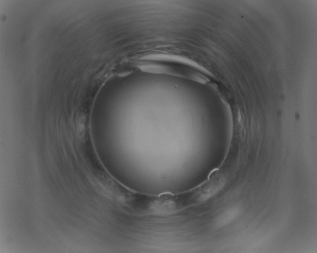 X0000068860271200605121925