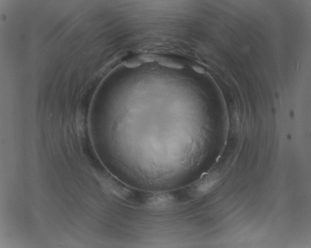 X0000068860274200605121925