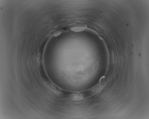 X0000068860275200605121925