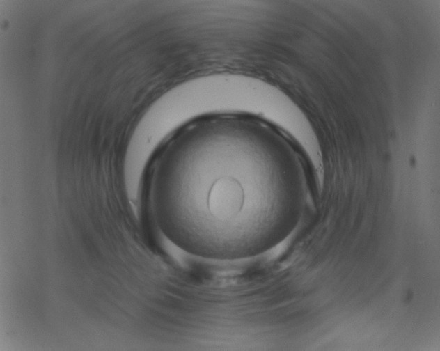 X0000068860276200605121925