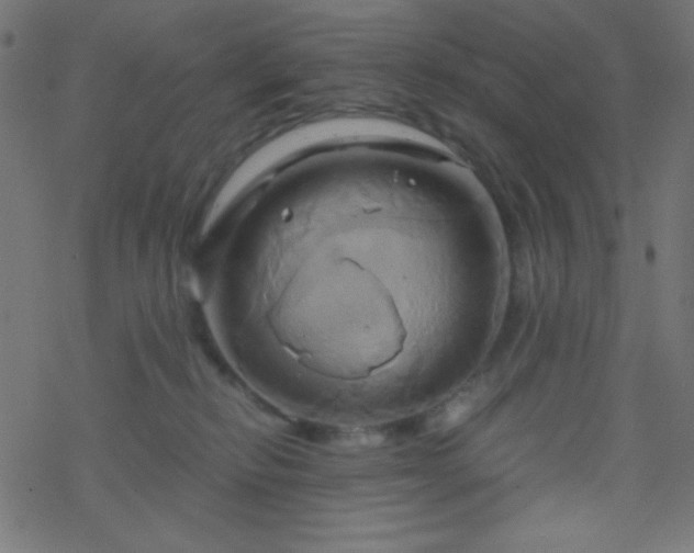 X0000068860278200605121925