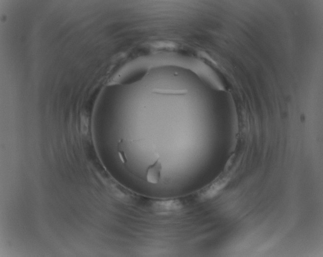 X0000068860281200605121925