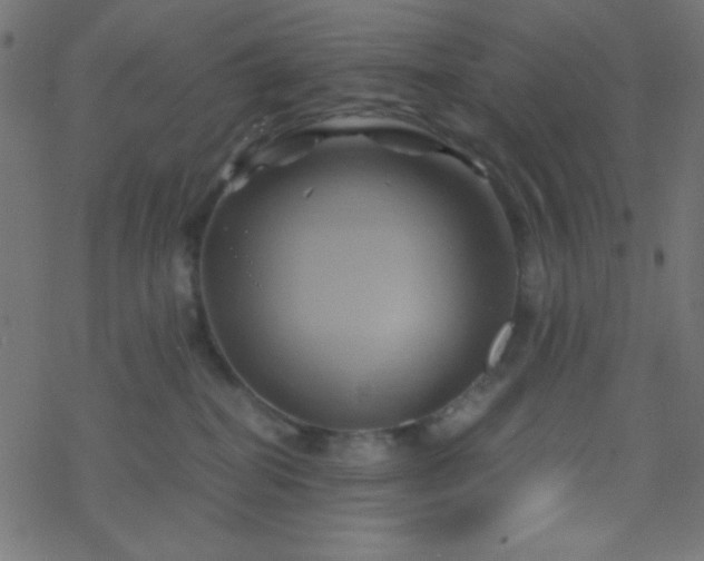 X0000068860282200605121925