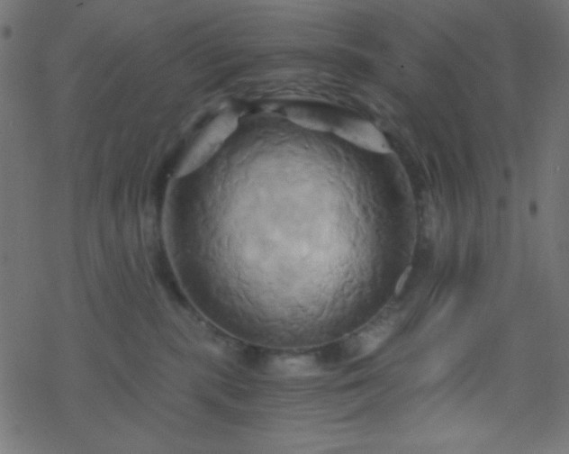 X0000068860283200605121925