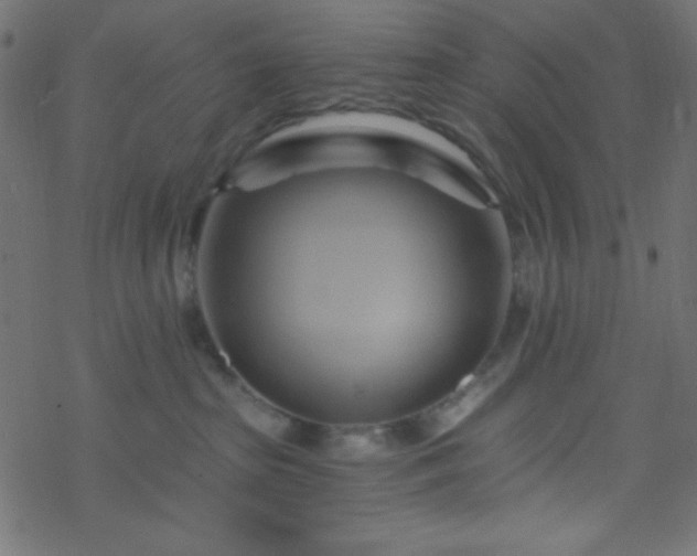 X0000068860285200605121925