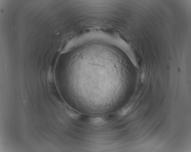 X0000068860287200605121925