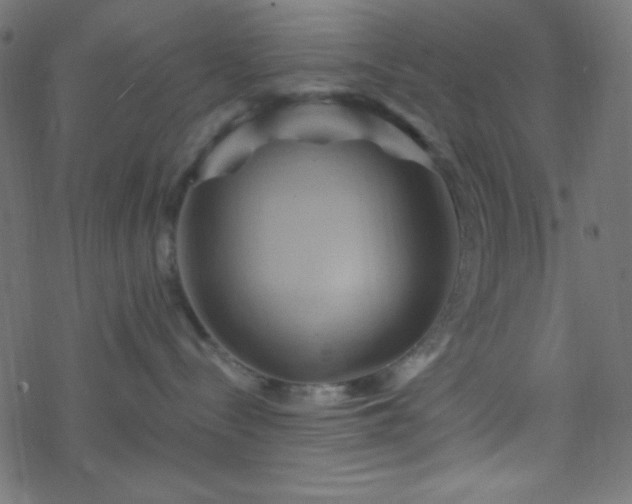 X0000068860288200605121925