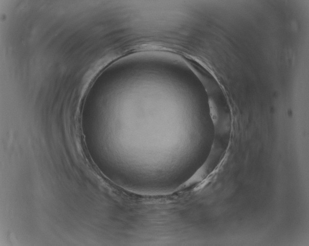 X0000068860289200605121924
