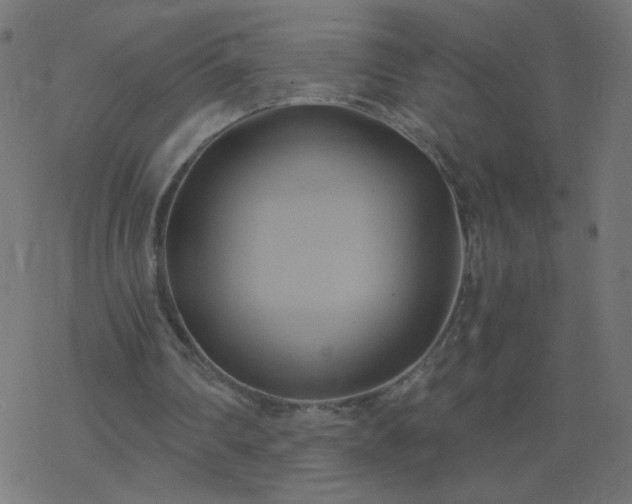 X0000068860290200605121924