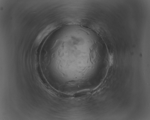 X0000068860291200605121924
