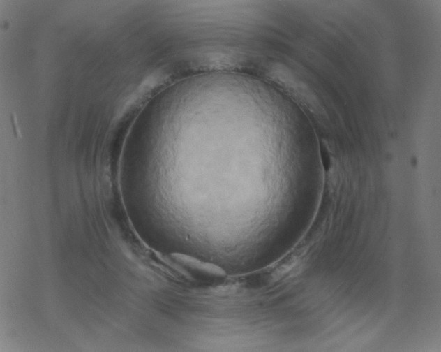 X0000068860306200605121924