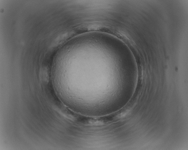 X0000068860311200605121924