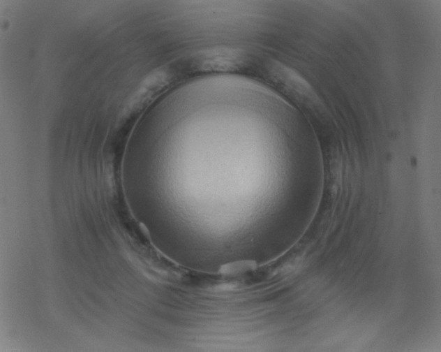 X0000068860312200605121924