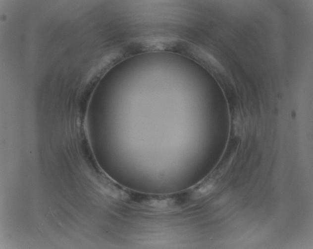 X0000068860314200605121924