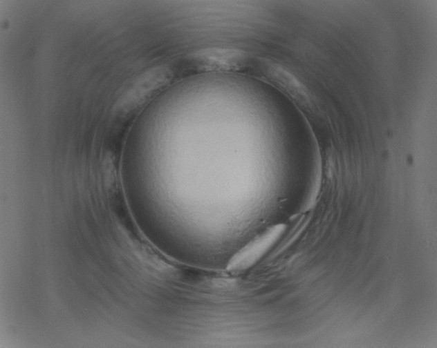 X0000068860318200605121924