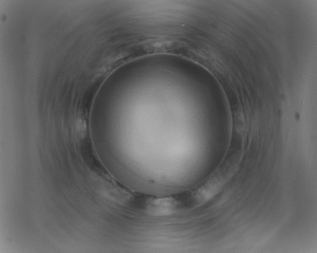 X0000068860324200605121923