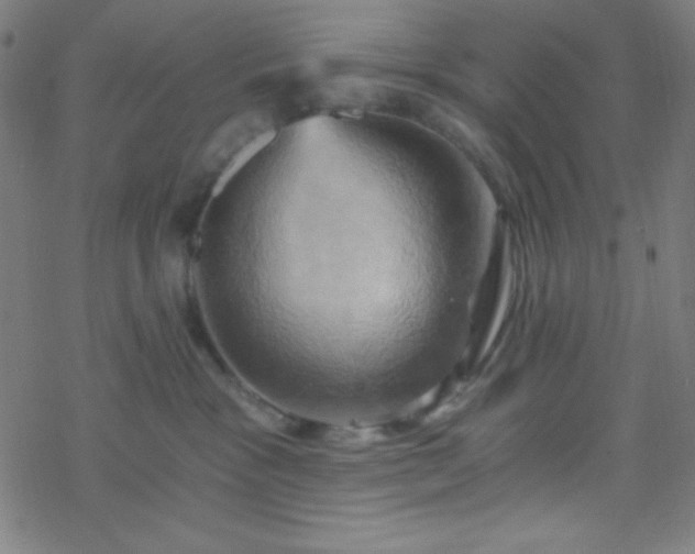 X0000068860333200605121923
