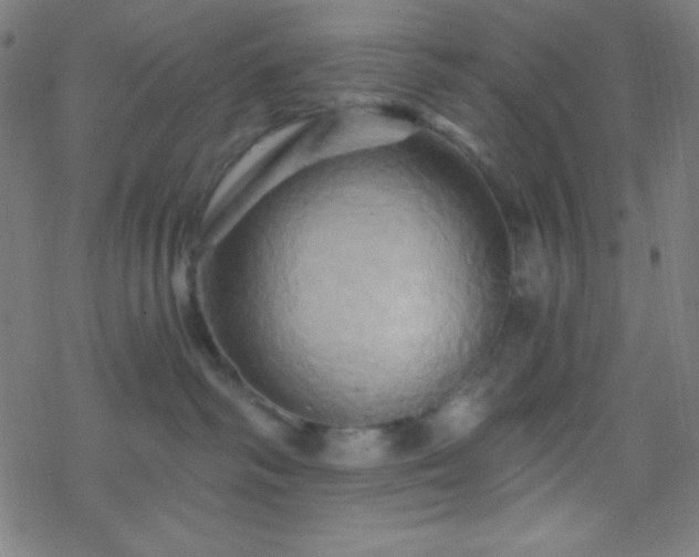 X0000068860334200605121923