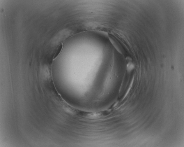 X0000068860335200605121923