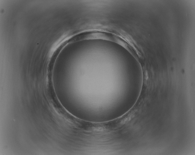 X0000068860344200605121923