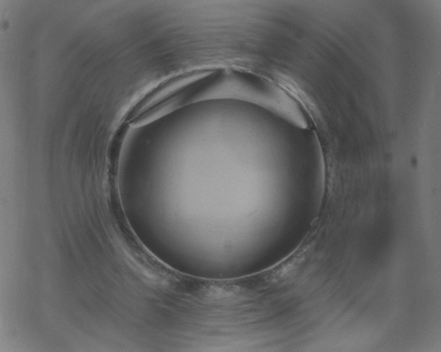 X0000068860346200605121923