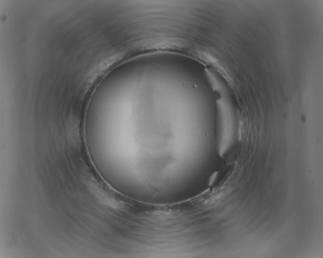 X0000068860394200605121922