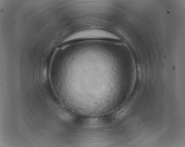 X0000068860406200605121922