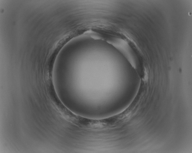 X0000068860407200605121922