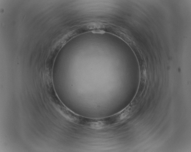 X0000068860411200605121922