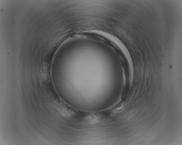 X0000068860416200605121922