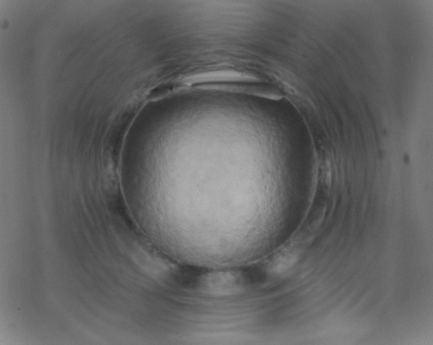 X0000068860418200605121922
