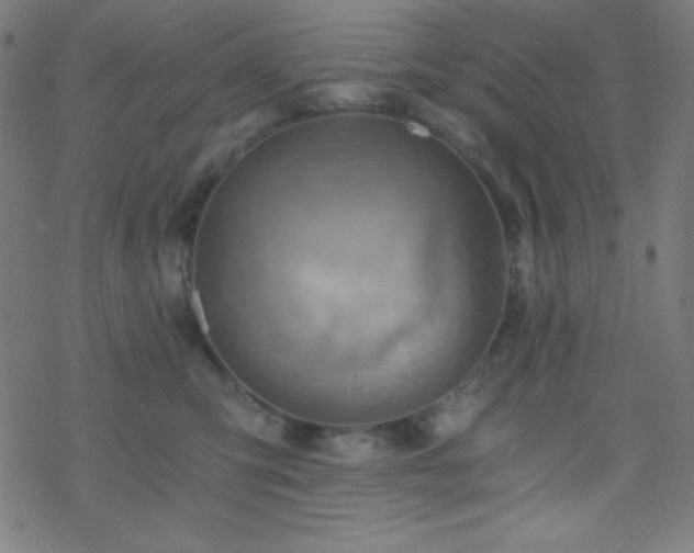 X0000068860423200605121922