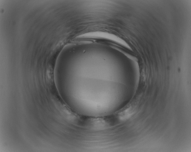 X0000068860424200605121922
