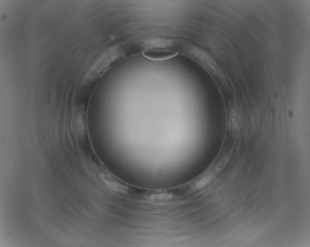 X0000068860426200605121922