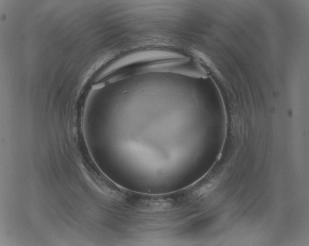 X0000068860443200605121921
