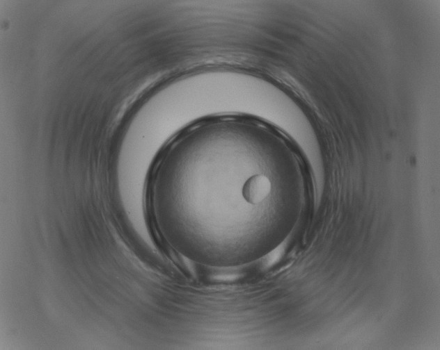 X0000068860444200605121921