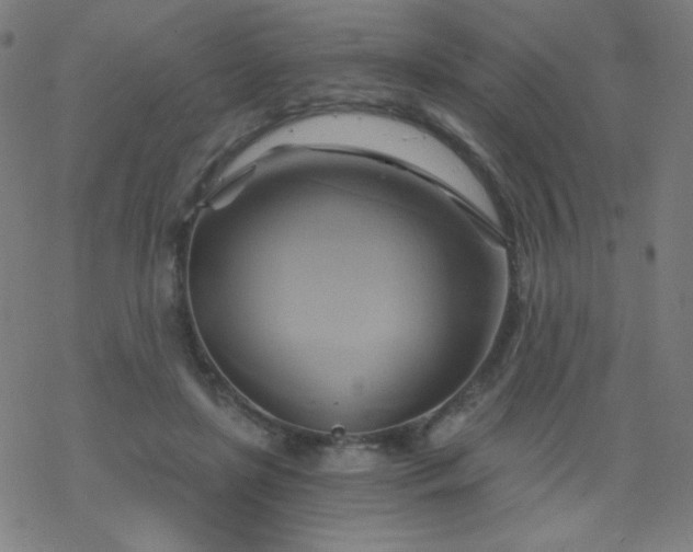 X0000068860451200605121921