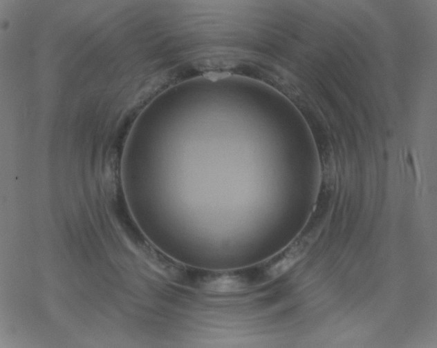 X0000068860460200605121921