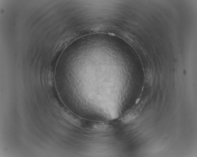 X0000068860470200605121921