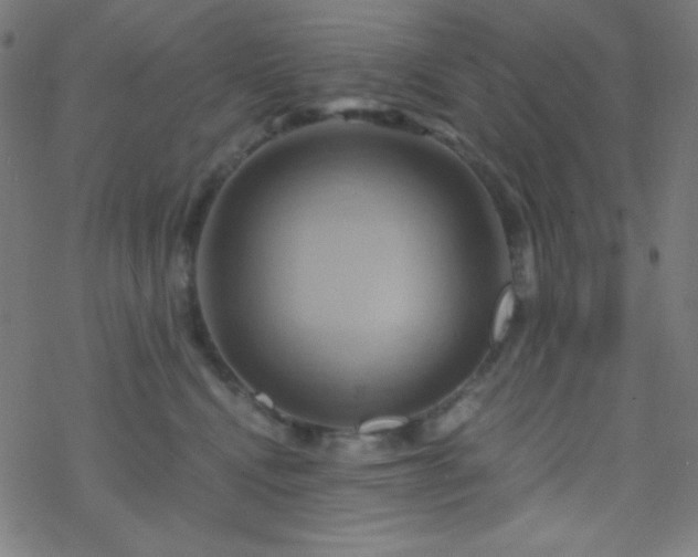 X0000068860472200605121921