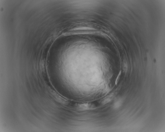 X0000068860473200605121921
