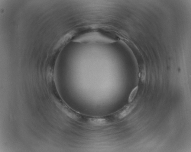 X0000068860476200605121922