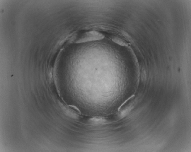 X0000068860477200605121922
