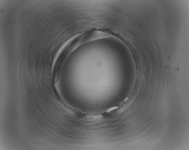 X0000068860480200605121922